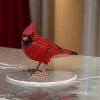 置物  Birds Red Cardinal Vintage 7